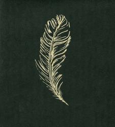 Golden Feather I | Obraz na stenu
