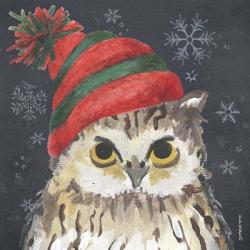 Christmas Owl | Obraz na stenu