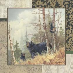 Black Bears with Border | Obraz na stenu