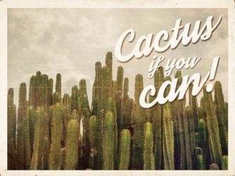 Cactus If You Can | Obraz na stenu