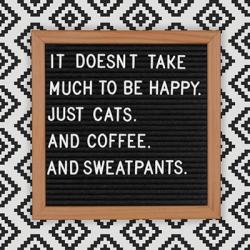 Cats and Sweatpants | Obraz na stenu