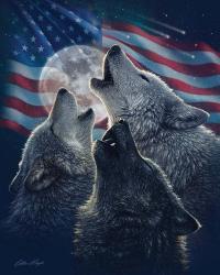 Wolf Trinity Patriotic | Obraz na stenu