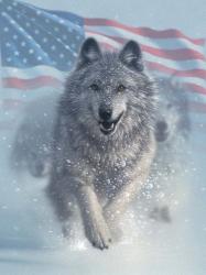 Running Wolves America | Obraz na stenu