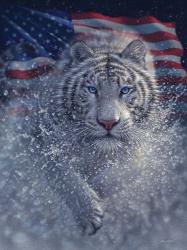 White Tiger America | Obraz na stenu