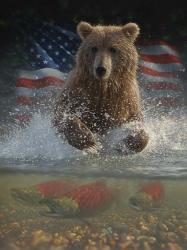 Brown Bear Fishing America | Obraz na stenu