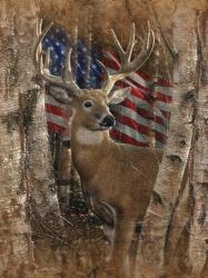 Whitetail Buck America | Obraz na stenu