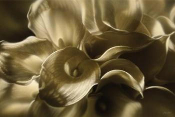 Golden Lilies | Obraz na stenu