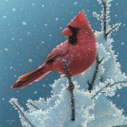 Cardinal - Cherry on Top | Obraz na stenu