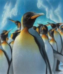 Penguin Paradise | Obraz na stenu