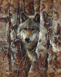 Wolf - Woodland Spirit | Obraz na stenu