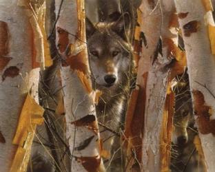 Wolves - The Guardian | Obraz na stenu