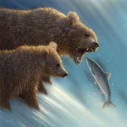 Brown Bears - Fishing Lesson | Obraz na stenu