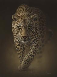 Leopard - Savage | Obraz na stenu