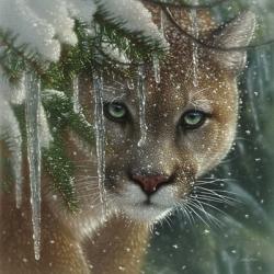 Cougar - Frozen | Obraz na stenu