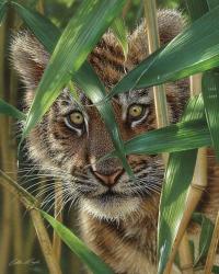 Tiger Cub - Peekaboo | Obraz na stenu