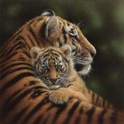 Tiger Mother and Cub - Cherished | Obraz na stenu