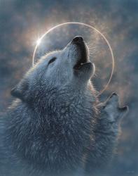 Wolf Eclipse | Obraz na stenu