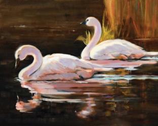 Swans | Obraz na stenu