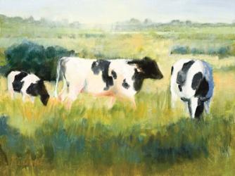Cows are Out | Obraz na stenu