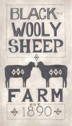 Black Wooly Sheep | Obraz na stenu