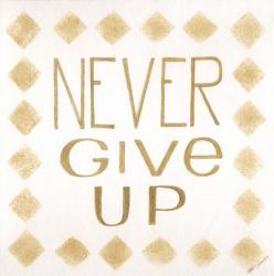 Never Give Up | Obraz na stenu