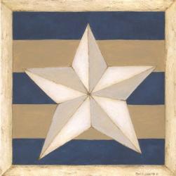 White Star, Blue Stripes | Obraz na stenu