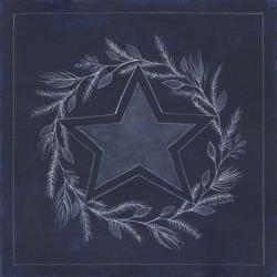 Blue Star | Obraz na stenu