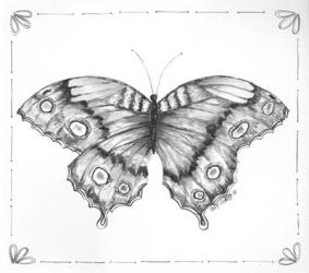Butterfly VI | Obraz na stenu