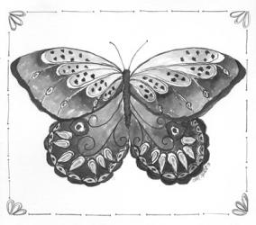 Butterfly VII | Obraz na stenu