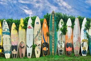 Surfboards | Obraz na stenu