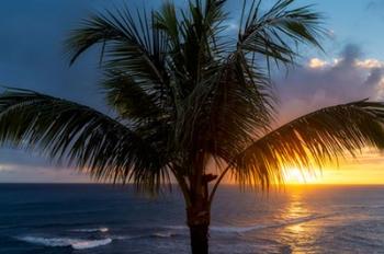 Palm Tree Sunset | Obraz na stenu