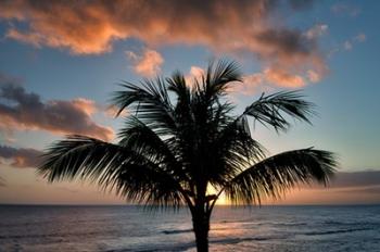 Palm Tree Sunset II | Obraz na stenu