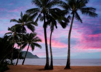 Pink Clouds | Obraz na stenu
