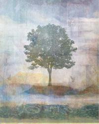 Tree Collage II | Obraz na stenu