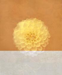 Orange Flower | Obraz na stenu