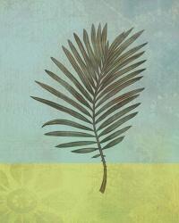 Palm Leaf | Obraz na stenu