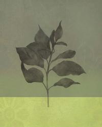 Green Leaves | Obraz na stenu