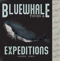 Blue Whale Tours | Obraz na stenu