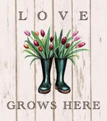 Love Grows Here | Obraz na stenu