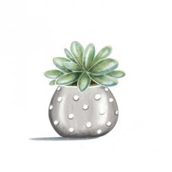 Polka Dot Succulent | Obraz na stenu