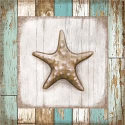 Starfish on Beach | Obraz na stenu