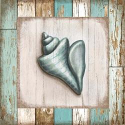 Turquoise Seashell | Obraz na stenu