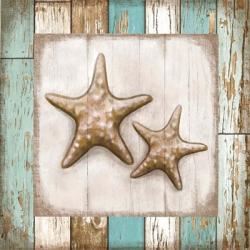 Two Starfish | Obraz na stenu