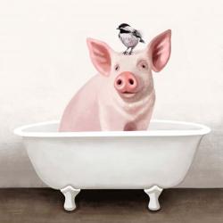 Pig in Bathtub | Obraz na stenu