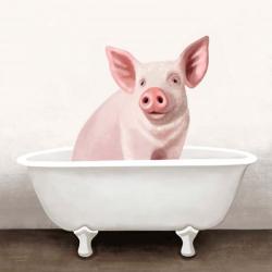 Pig in Bathtub Solo | Obraz na stenu