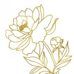 Gold Floral V | Obraz na stenu