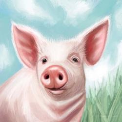 Farmhouse Pig | Obraz na stenu