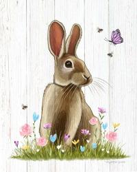 Easter Rabbit | Obraz na stenu