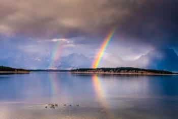 Double Rainbow | Obraz na stenu