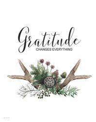Gratitude | Obraz na stenu